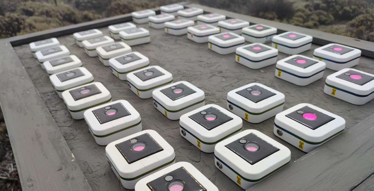Rows of white photometers laid out on a wooden platform in the open air for simultaneous calibration